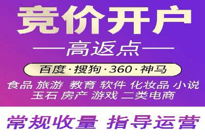 行业标杆：SEM托管公司案例解析